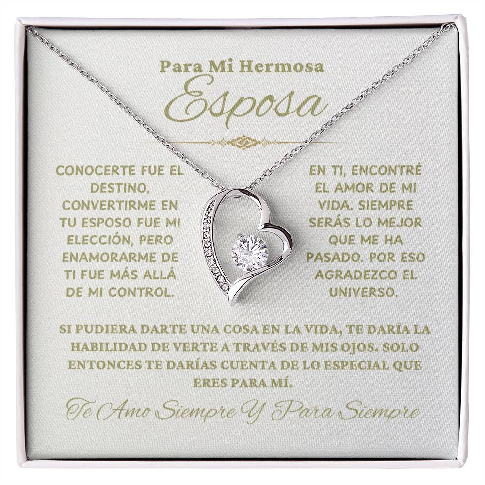 Para Mi Hermosa Esposa - NFLWW1114.1