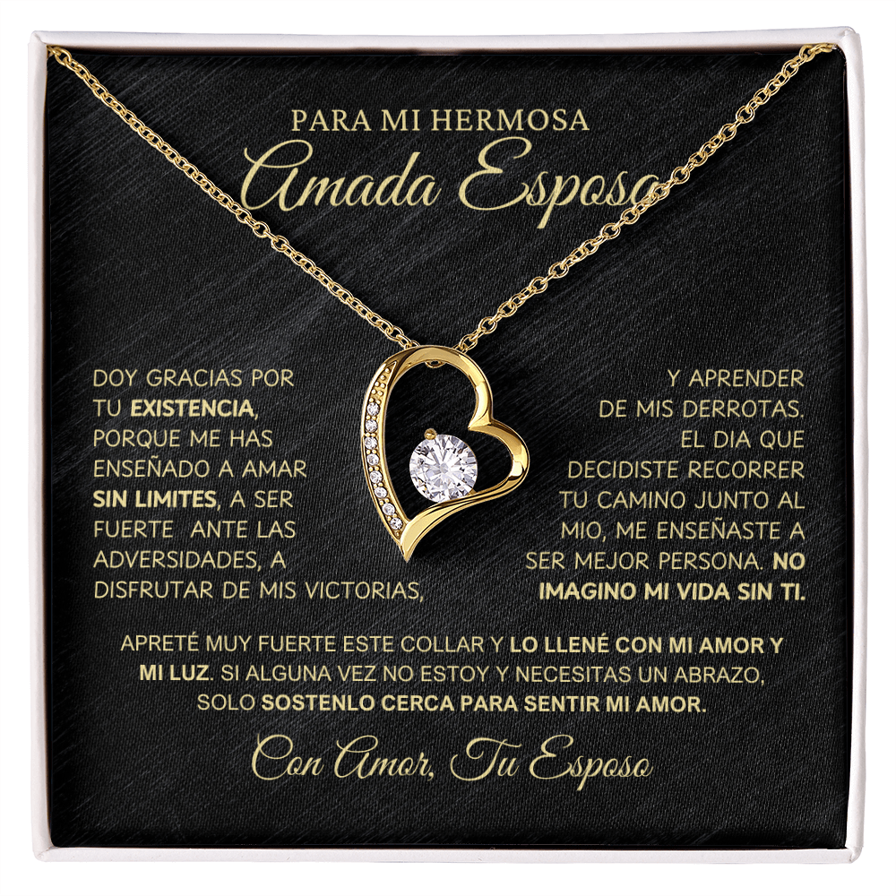 Para Mi Amada Hermosa Esposa - NFLWB0207.1