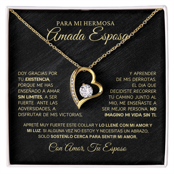 Para Mi Amada Hermosa Esposa - NFLWB0207.1