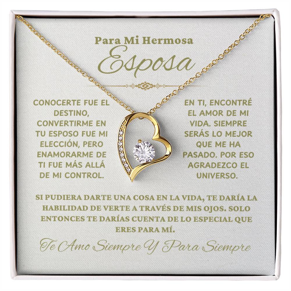 Para Mi Hermosa Esposa - NFLWW1114.1