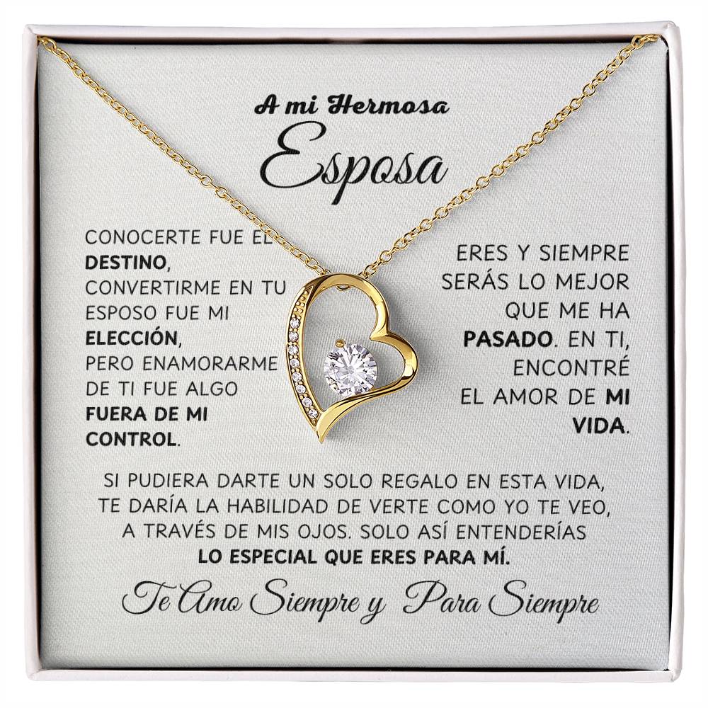 A Mi Hermosa Esposa - NFLWW1114.5